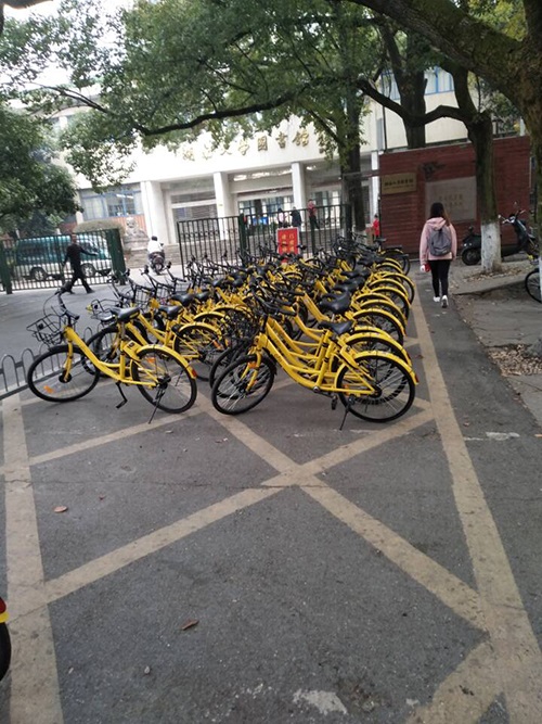 m1510161507857067.jpg 2017-11-8(3).jpg